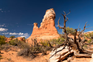 USA, Utah, Arches National Park, Devils Garden, rock formations, USA, Utah, Arches National Park, Devils Garden, rock formations,